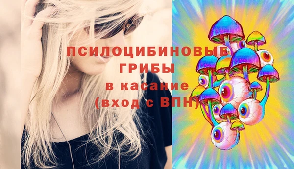 крисы Белоозёрский